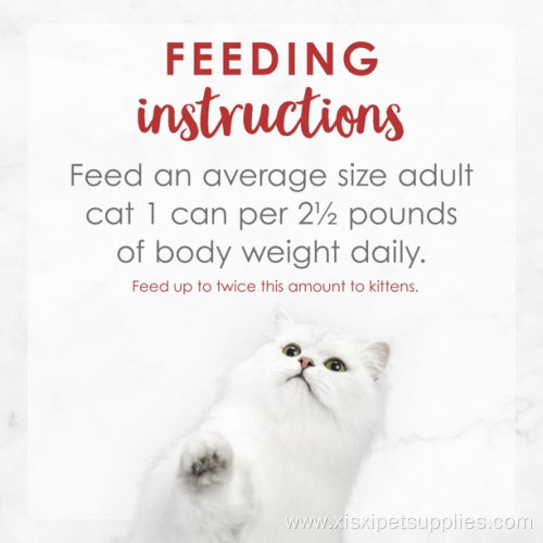 Fancy Feast Gravy Wet Cat Food in Roasted